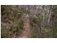 740 Mustering Ground Rd, Kiah NSW 2551