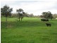 0 Morgans Reserve Road, Tumut NSW 2720