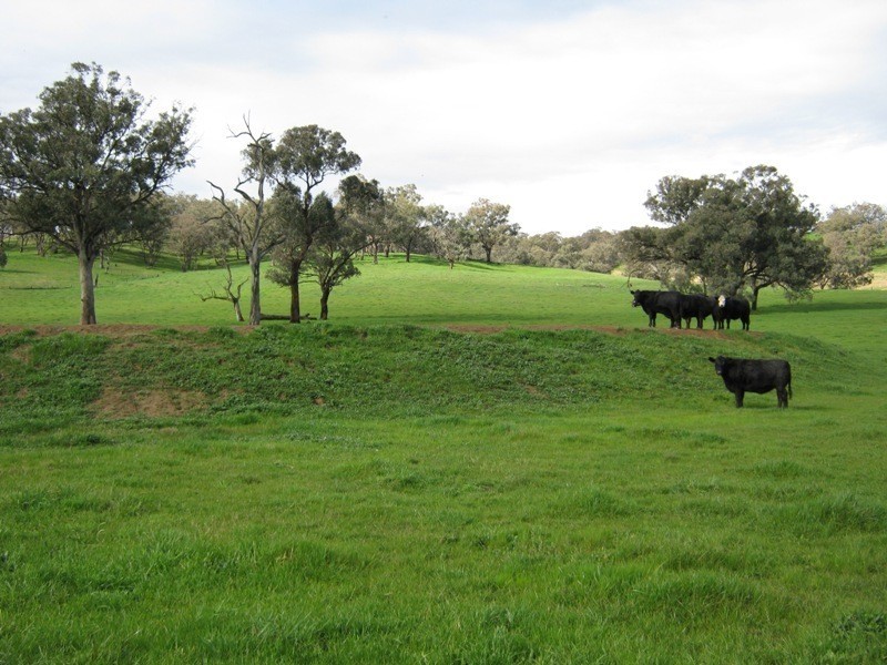 0 Morgans Reserve Road, Tumut NSW 2720