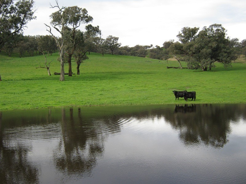 0 Morgans Reserve Road, Tumut NSW 2720