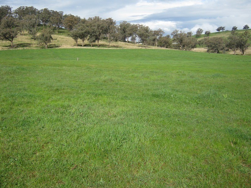 0 Morgans Reserve Road, Tumut NSW 2720