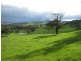 0 Morgans Reserve Road, Tumut NSW 2720