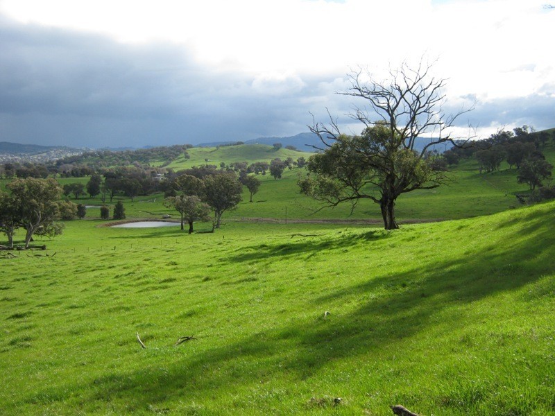 0 Morgans Reserve Road, Tumut NSW 2720