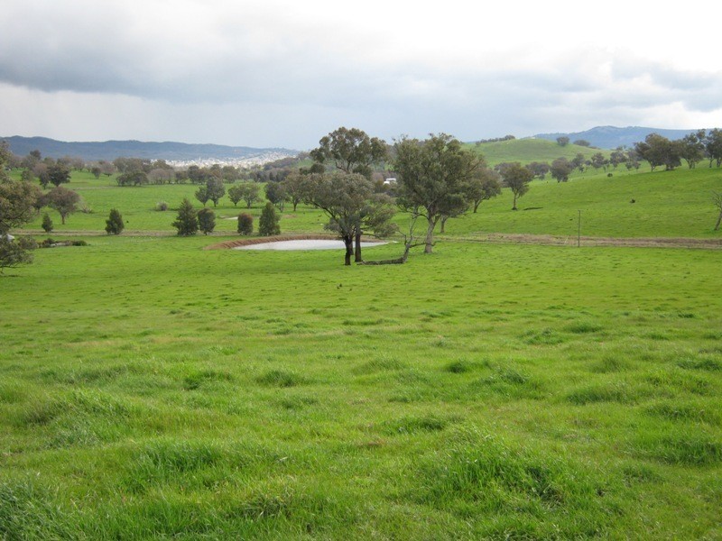 0 Morgans Reserve Road, Tumut NSW 2720