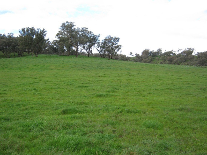 0 Morgans Reserve Road, Tumut NSW 2720
