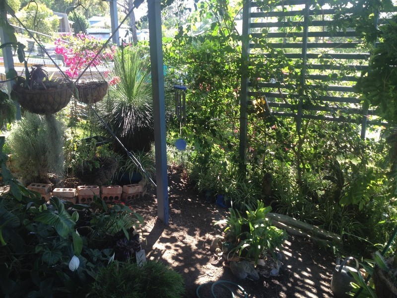 12 The Glen, Maclean NSW 2463