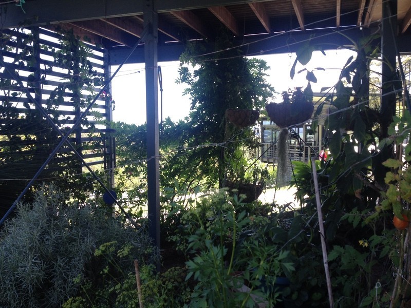 12 The Glen, Maclean NSW 2463