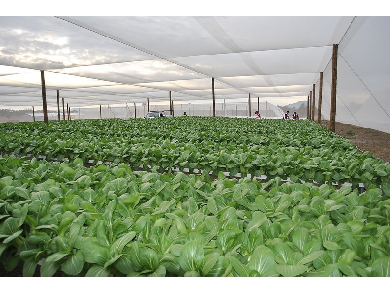 15 Caswells Lane, Mutdapilly QLD 4307