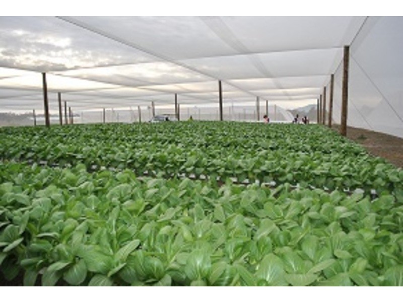 15 Caswells Lane, Mutdapilly QLD 4307