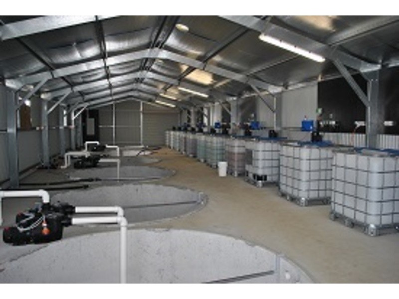 15 Caswells Lane, Mutdapilly QLD 4307