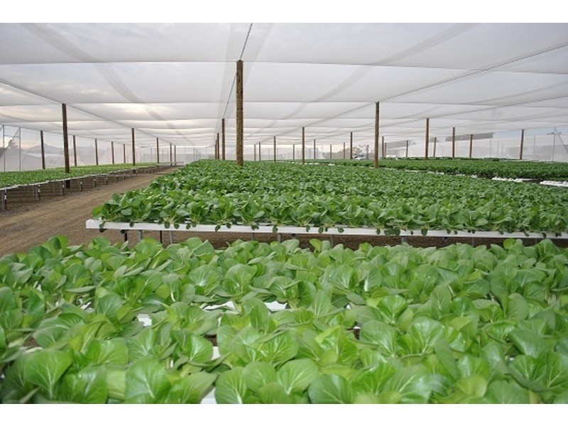 15 Caswells Lane, Mutdapilly QLD 4307