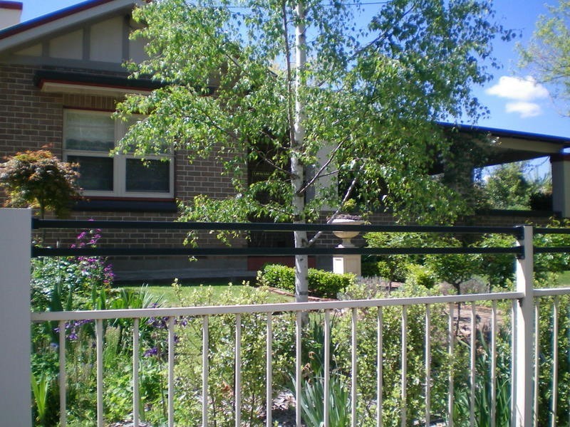 53 National Avenue, Orange NSW 2800