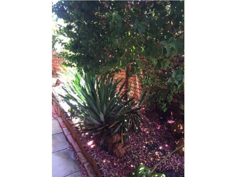 6/102 Ardross Street, Applecross WA 6153