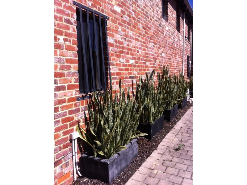 26A Raglan Road, Mount Lawley WA 6050