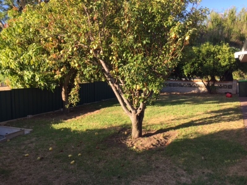 2A Farman Place, Hamersley WA 6022