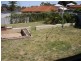 274 Amelia Street, Nollamara WA 6061