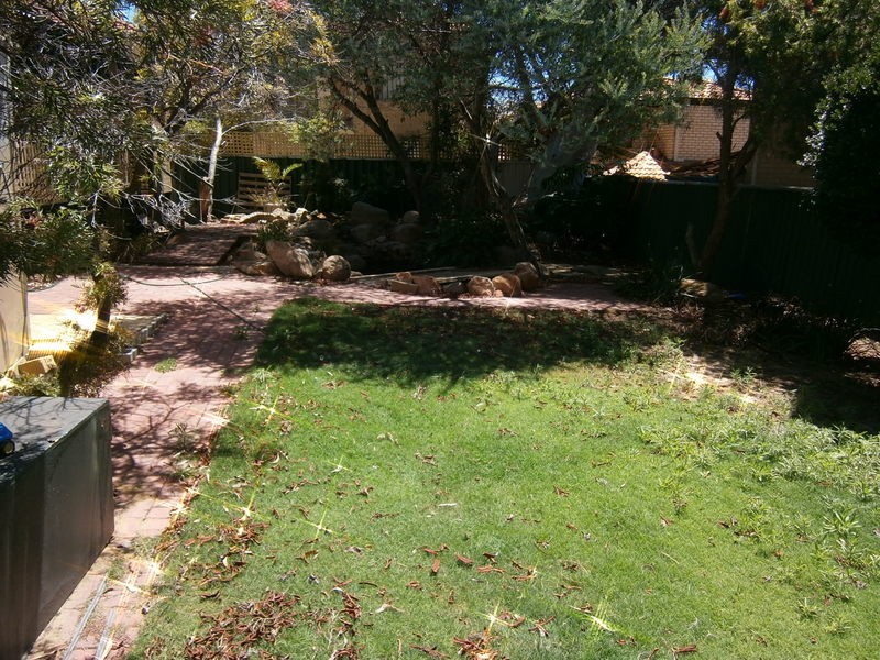 217 McDonald Street, Joondanna WA 6060