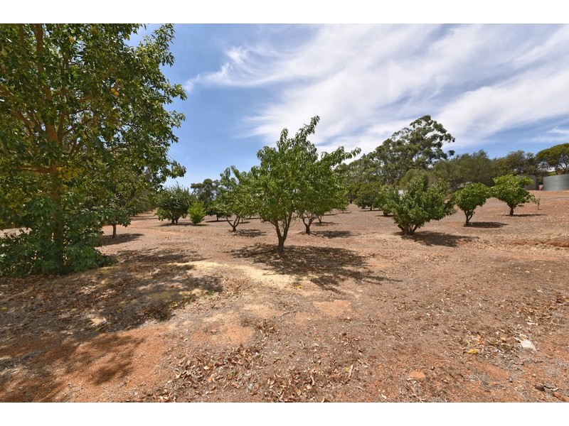 106 Jess Road, Bullsbrook WA 6084