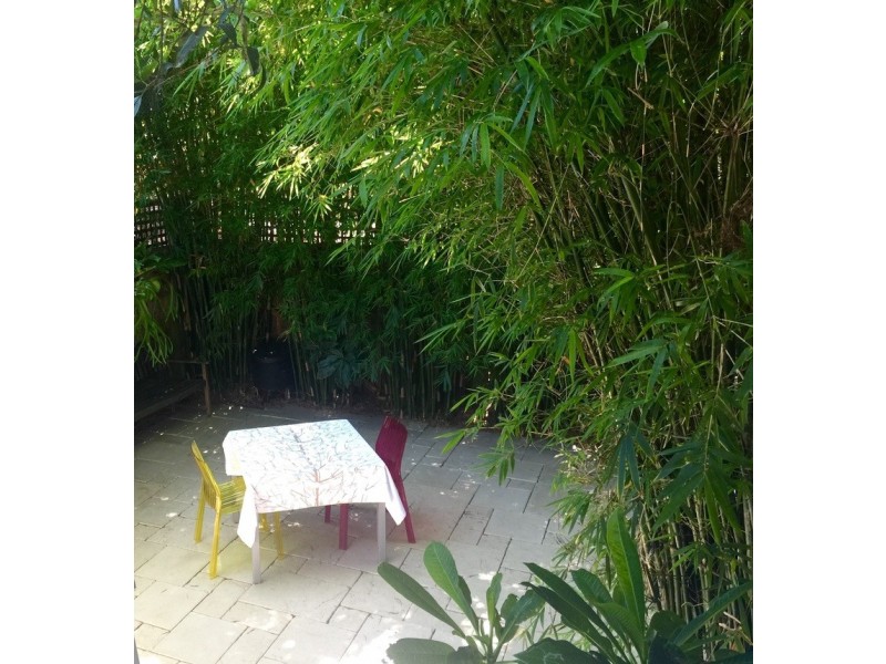 6 Hodgson Street, Randwick NSW 2031