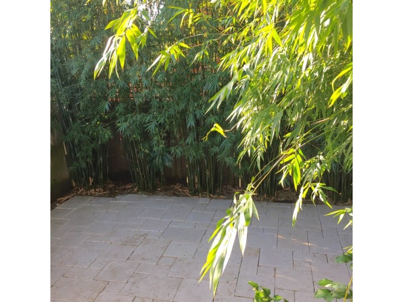 6 Hodgson Street, Randwick NSW 2031