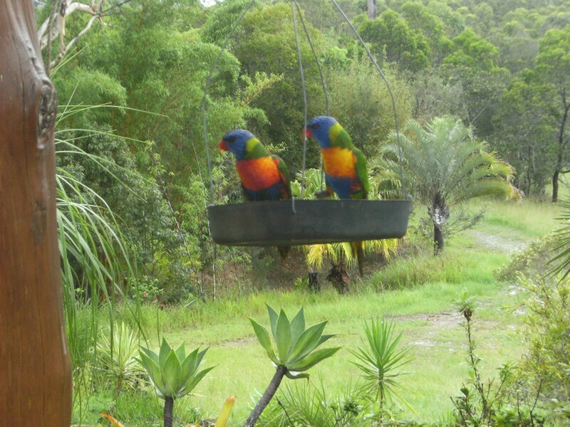 173 Jerome Rd, Atherton QLD 4883