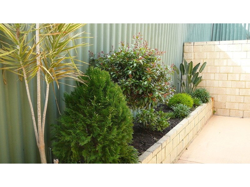 3/14 Monterey St, Nollamara WA 6061