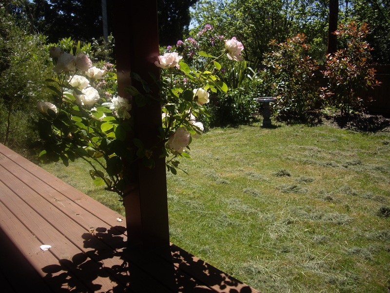 99  Govetts Leap Road, Blackheath NSW 2785