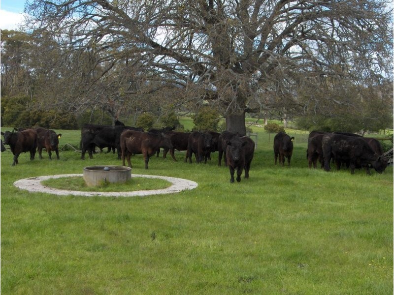 57 Lighwood Hills Rd, Beaconsfield TAS 7270