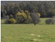 57 Lighwood Hills Rd, Beaconsfield TAS 7270