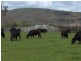 57 Lighwood Hills Rd, Beaconsfield TAS 7270