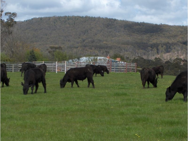 57 Lighwood Hills Rd, Beaconsfield TAS 7270