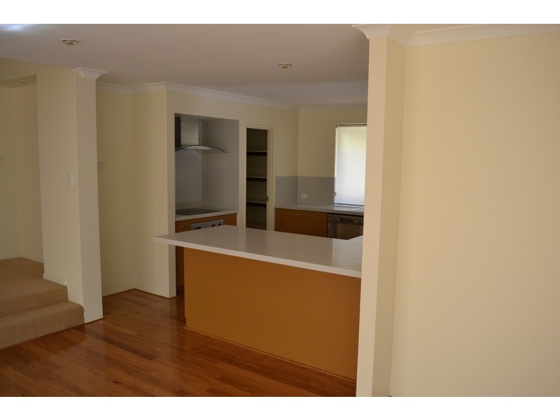 38 Coral Tree Avenue, Subiaco WA 6008