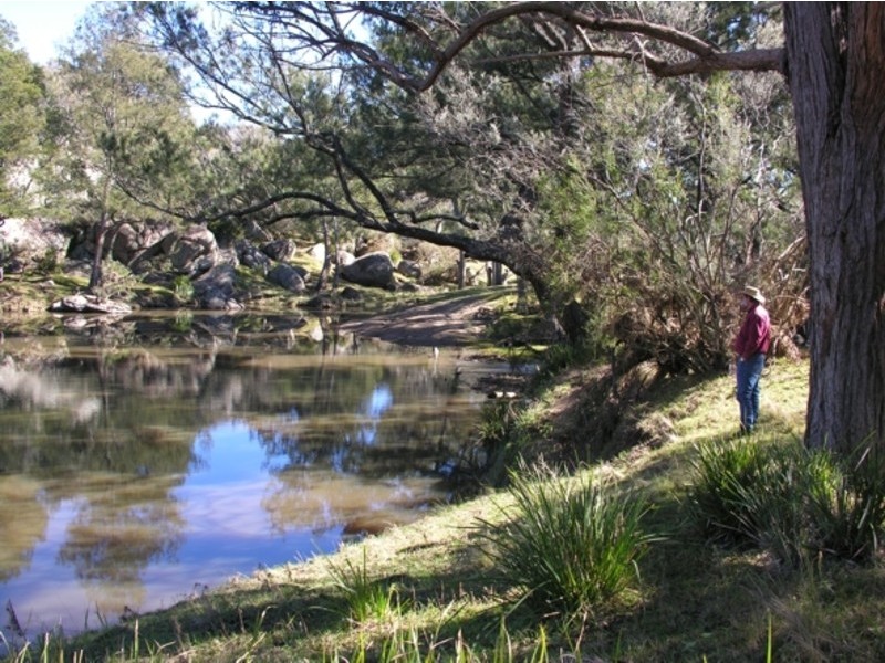 Lot 23 Castlecrag Road Bolivia via Tenterfield, Tenterfield NSW 2372