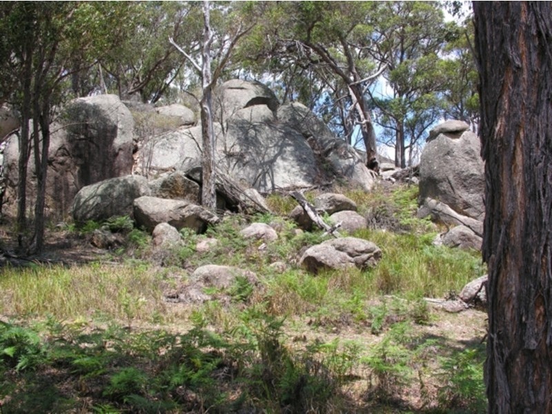 Lot 23 Castlecrag Road Bolivia via Tenterfield, Tenterfield NSW 2372