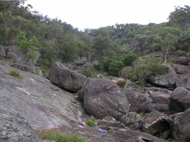 Lot 23 Castlecrag Road Bolivia via Tenterfield, Tenterfield NSW 2372