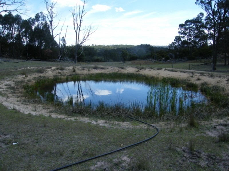 Lot 23 Castlecrag Road Bolivia via Tenterfield, Tenterfield NSW 2372