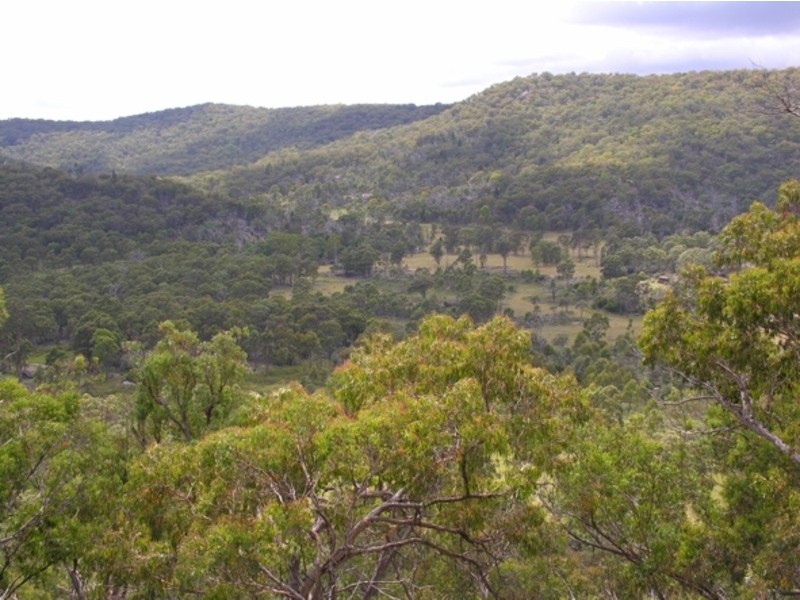 Lot 23 Castlecrag Road Bolivia via Tenterfield, Tenterfield NSW 2372