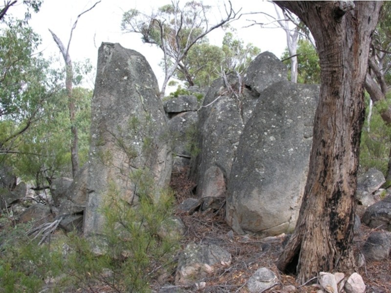 Lot 23 Castlecrag Road Bolivia via Tenterfield, Tenterfield NSW 2372