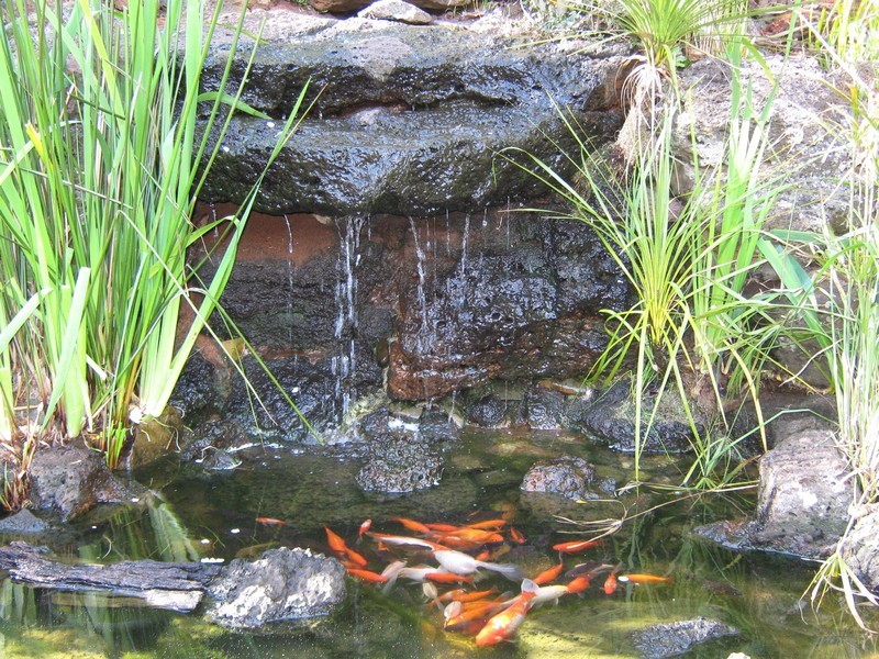 5 Maisie Road, Emerald VIC 3782