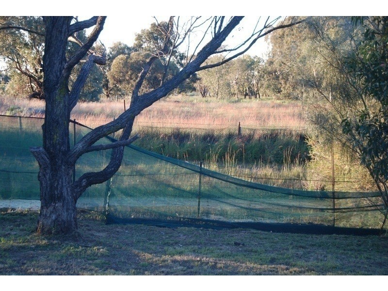 10 Whitehall Road, Hazelmere WA 6055