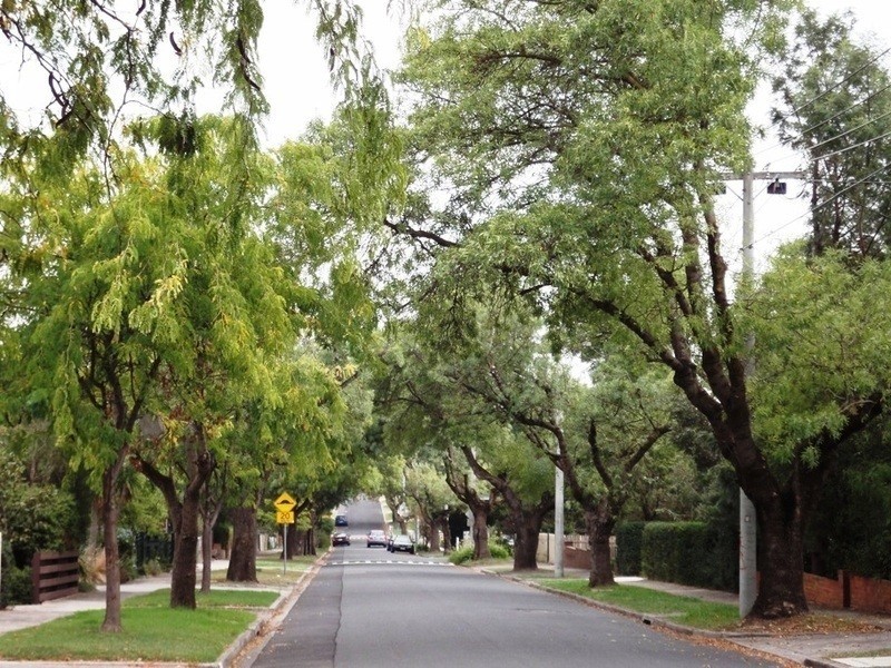 1/13 Green Street, Ivanhoe VIC 3079