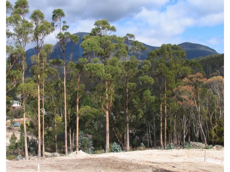 Lot 2 Nursery Court, Lenah Valley TAS 7008