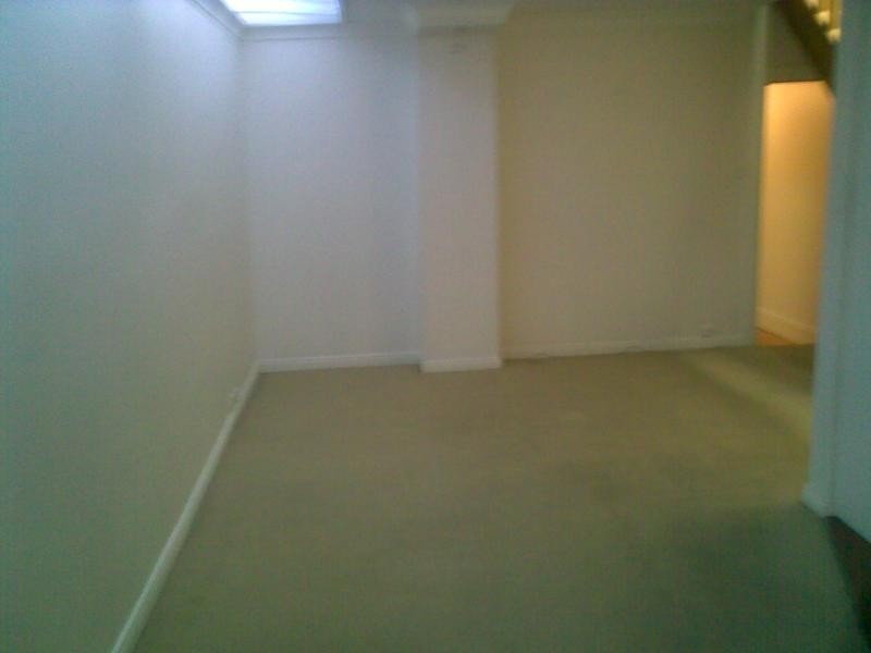 54 Probert St, Newtown NSW 2042