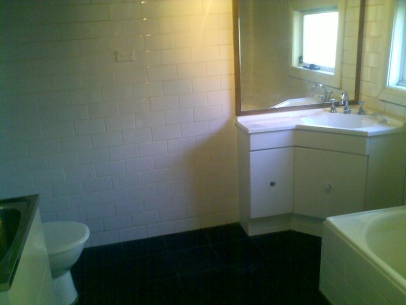 54 Probert St, Newtown NSW 2042