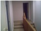 54 Probert St, Newtown NSW 2042