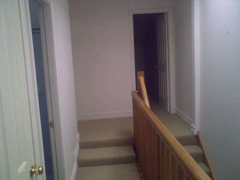 54 Probert St, Newtown NSW 2042