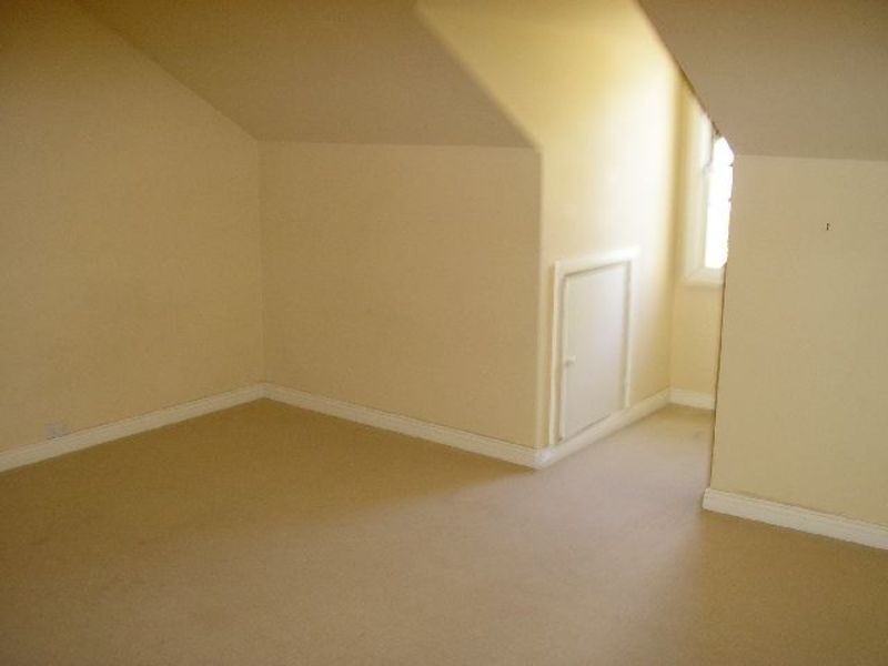 54 Probert St, Newtown NSW 2042