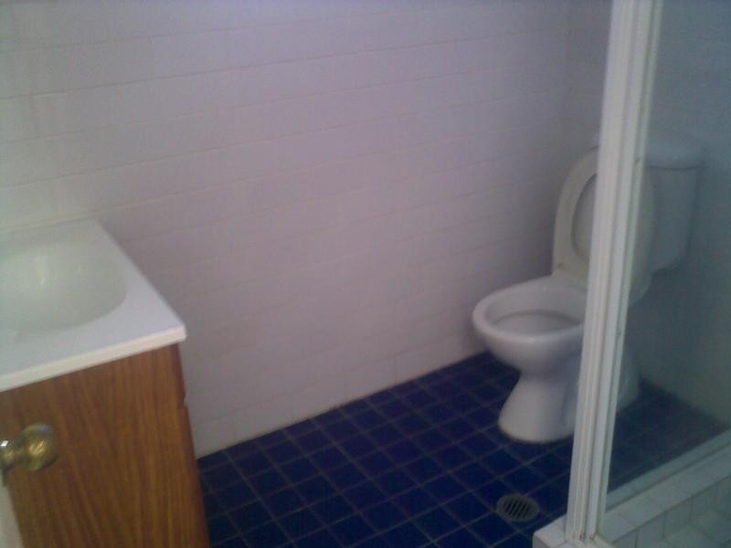54 Probert St, Newtown NSW 2042