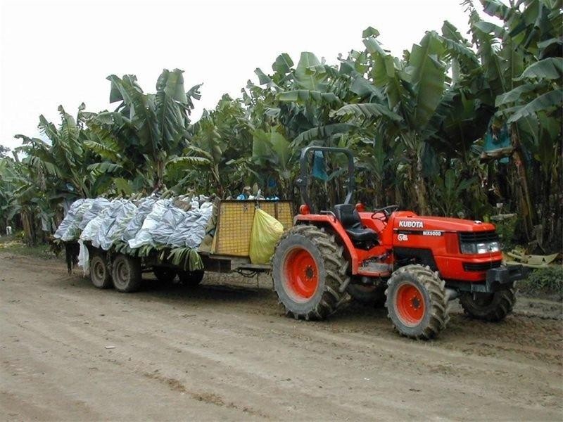 90-96 King Road Murray Upper, Tully QLD 4854