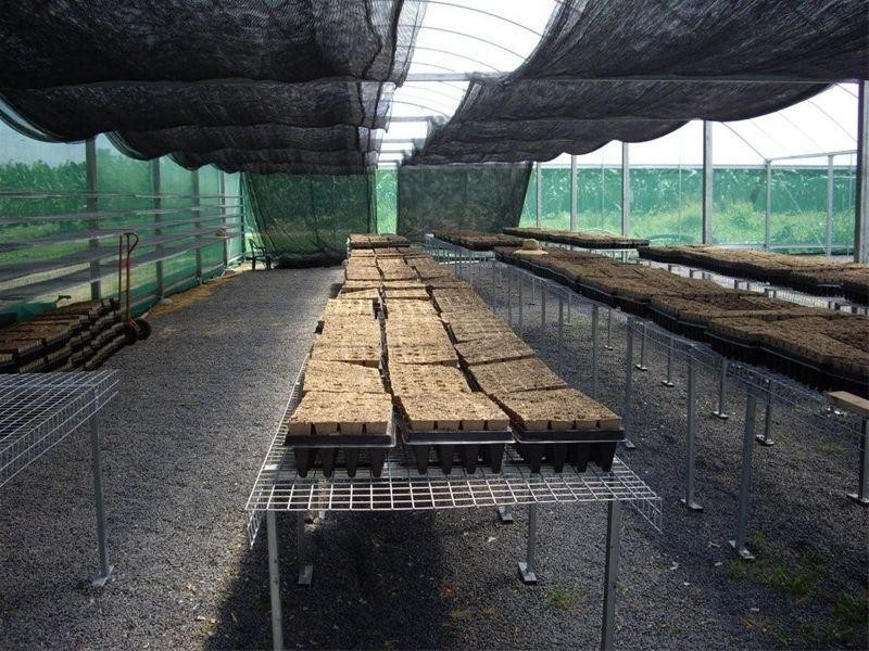 90-96 King Road Murray Upper, Tully QLD 4854